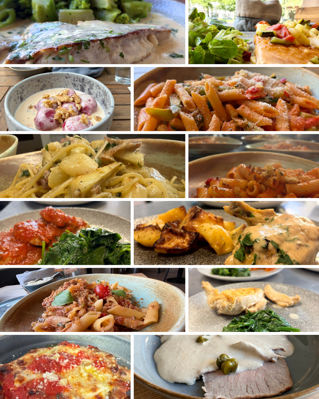 Verschiedene Gerichte des Mittagstisches der Trattoria Lapone